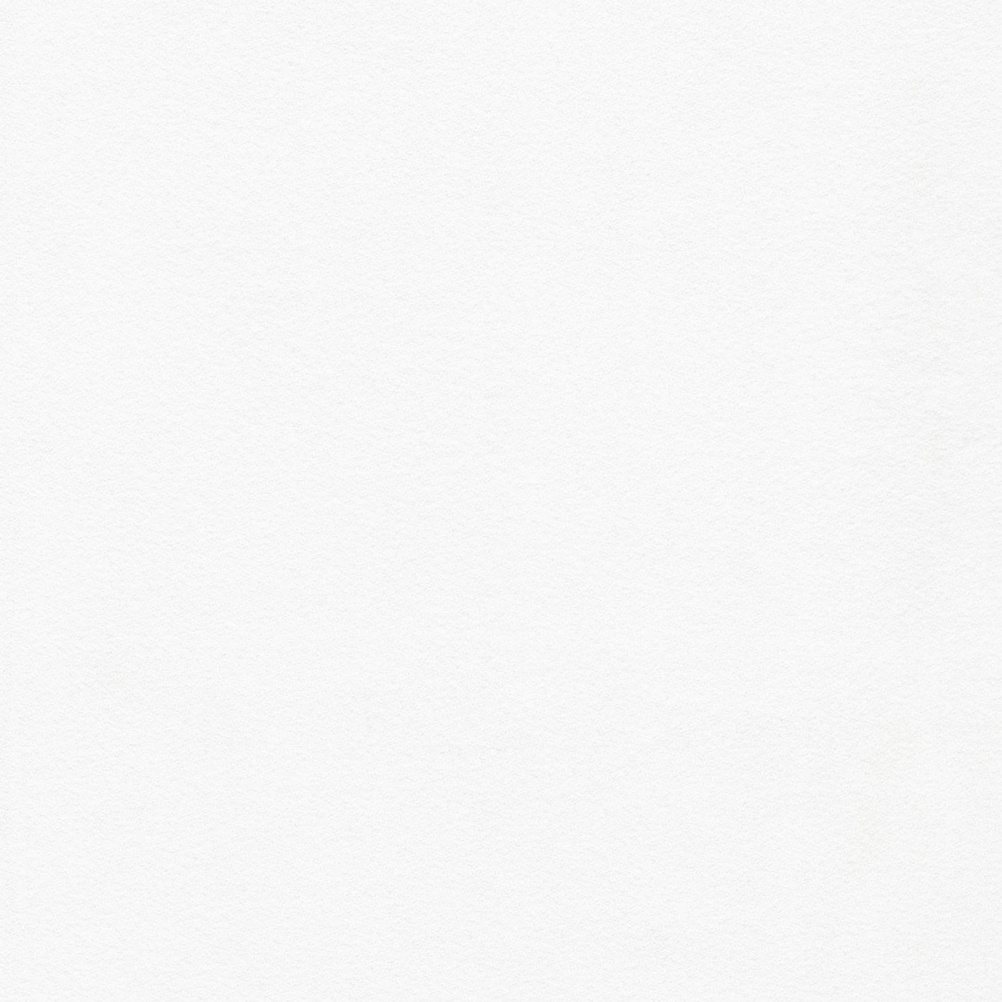 Flannel Solid - Mammoth Flannel ORGANIC - PFD White
