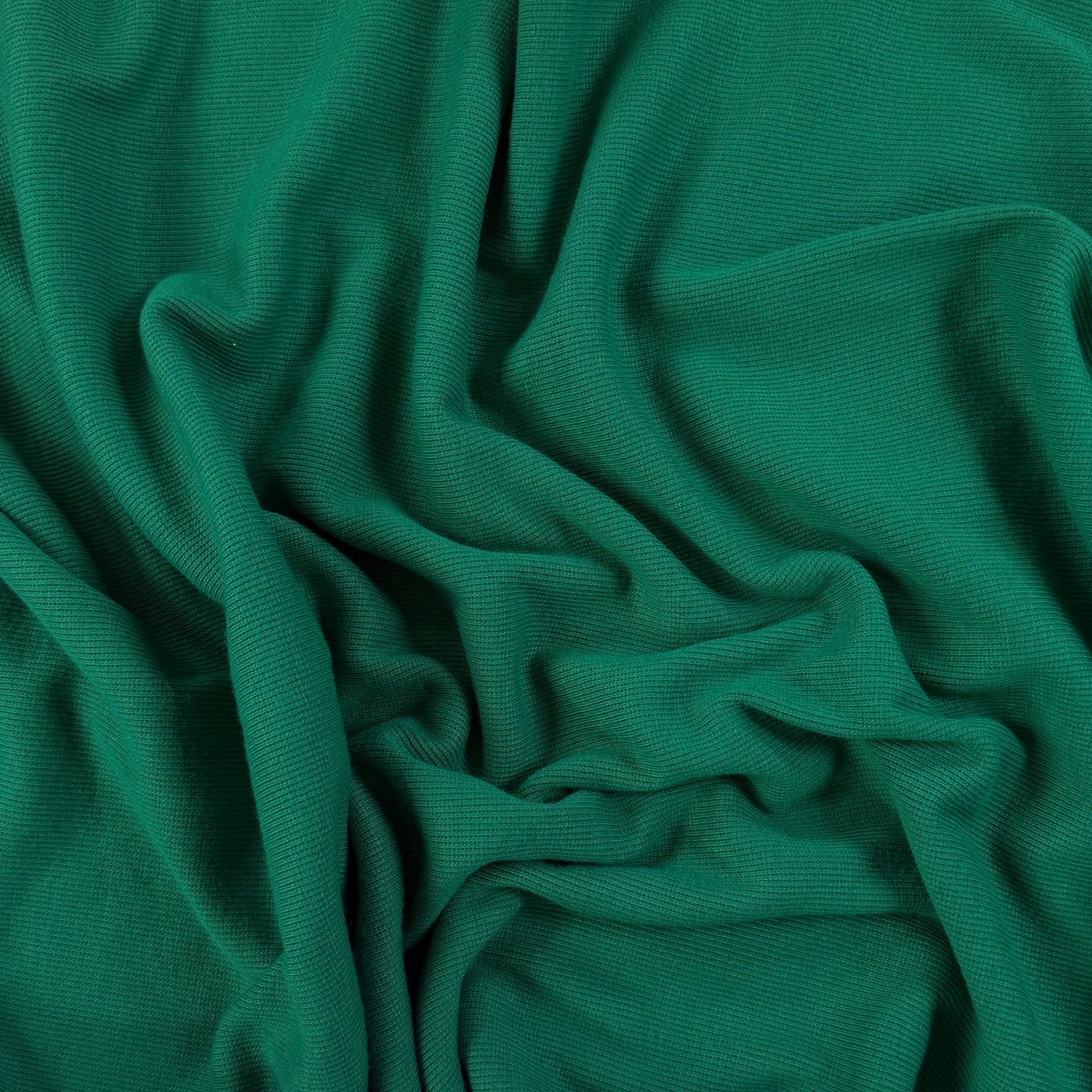 Bamboo Cotton 2×2 Rib - Holly Green