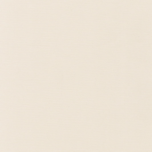 Big Sur Canvas - Ivory