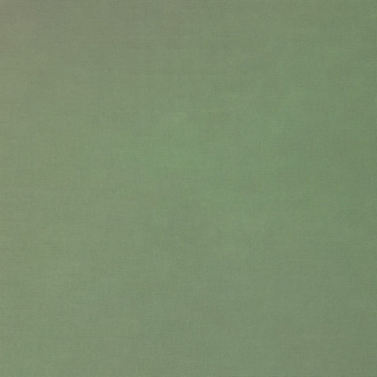 Silky Cotton Solids Japanese Quilting Fabric - Sage Green