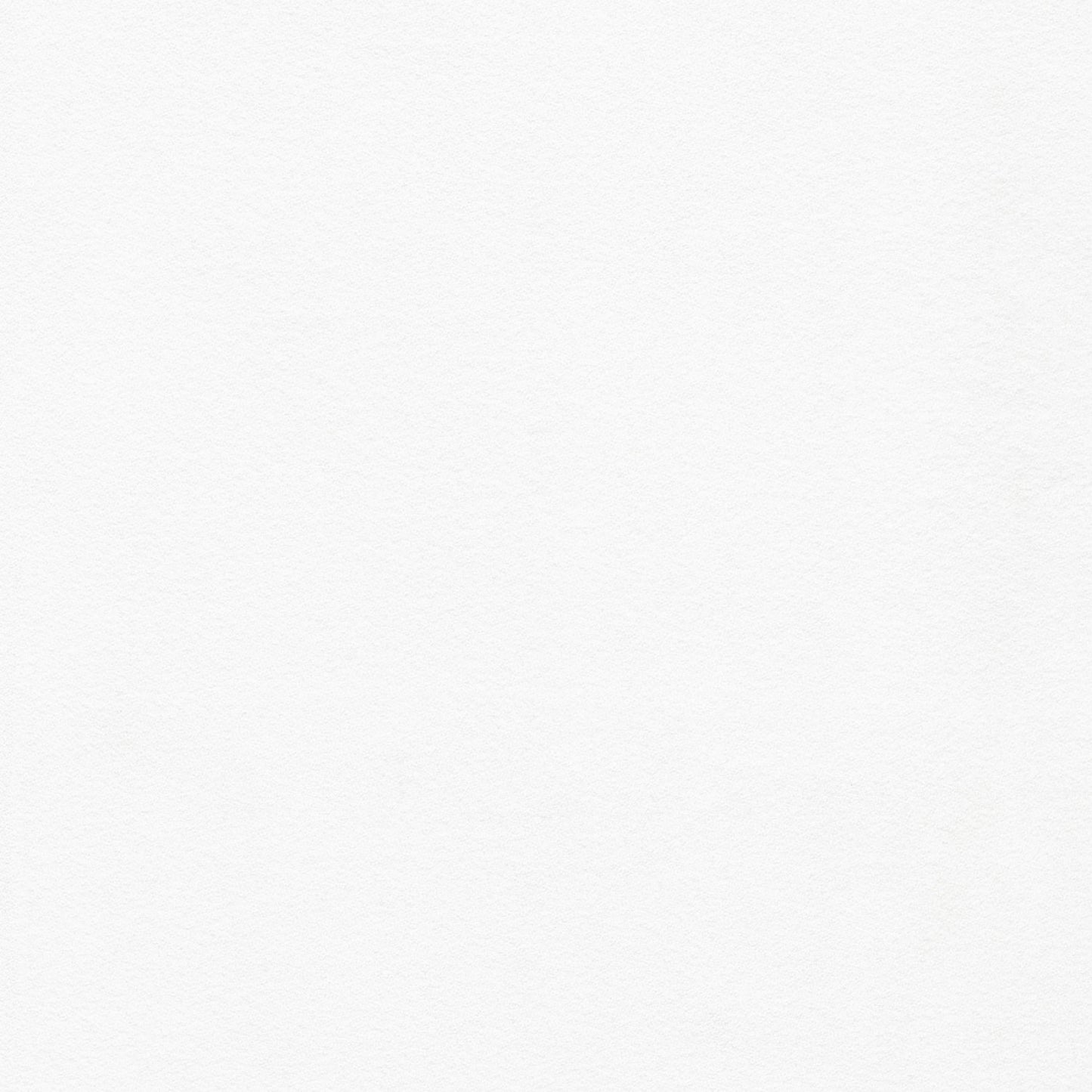 Flannel Solid - Mammoth Flannel ORGANIC - PFD White