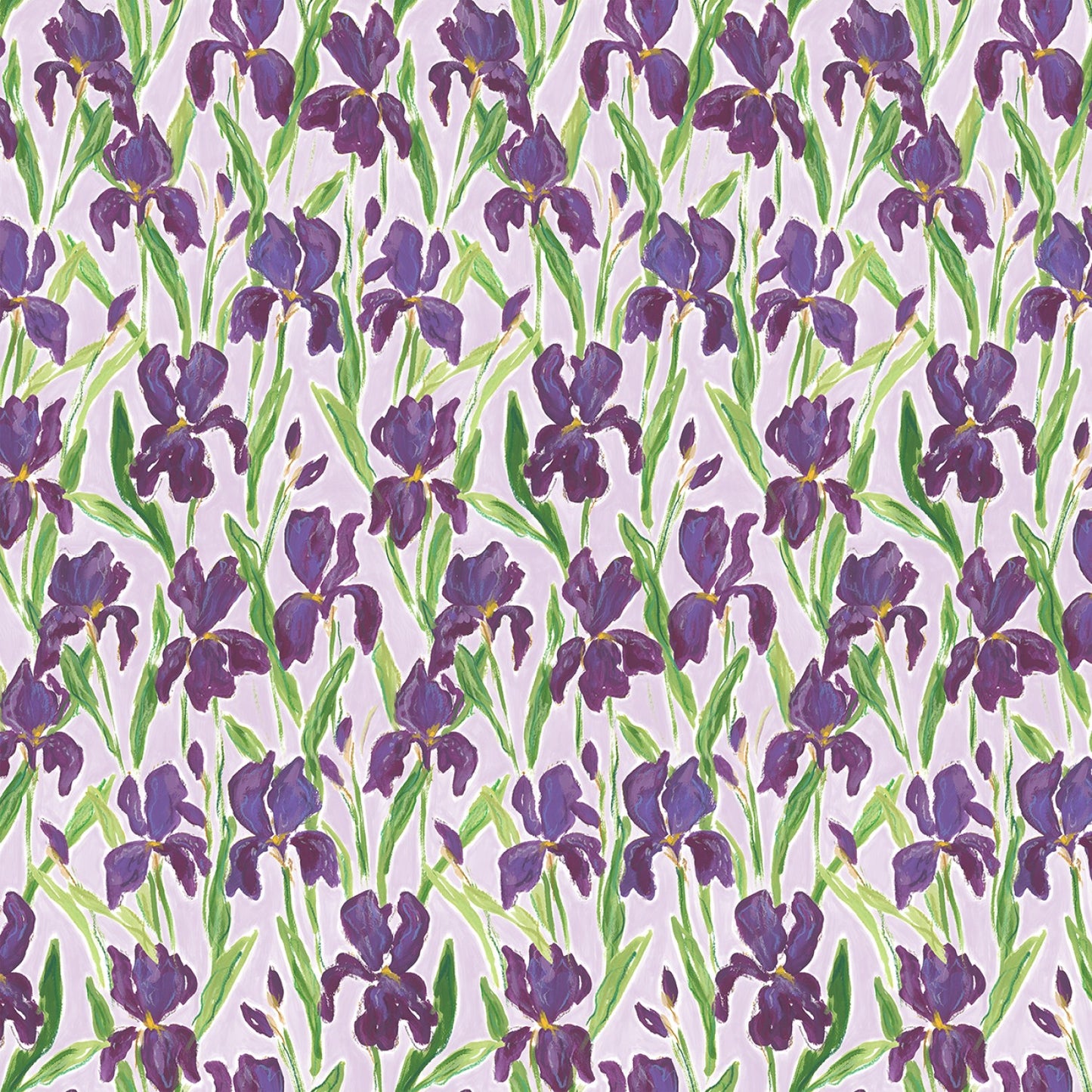 Irises - Digital Print - by Caitlin Wallace Rowland- Purple Multi