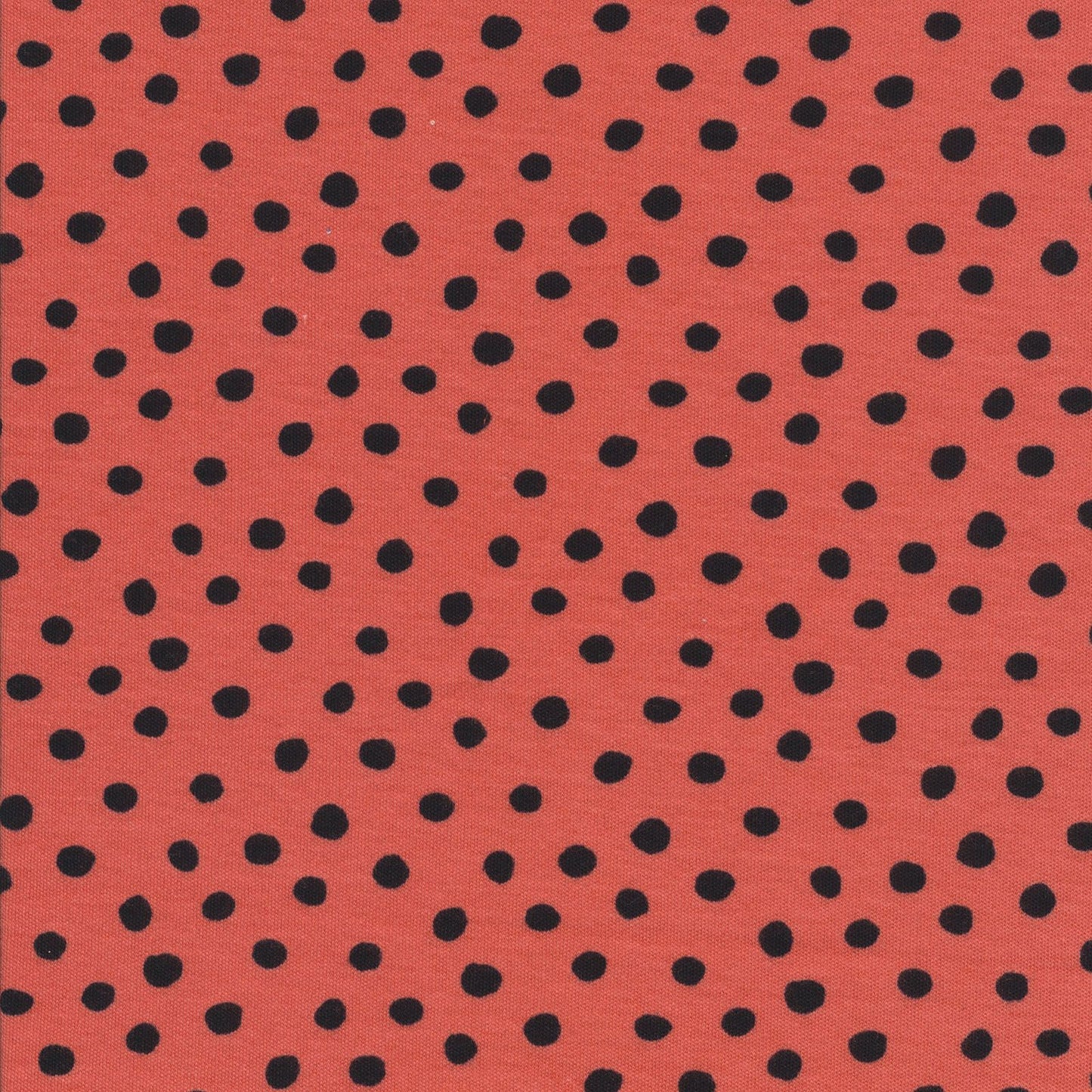 Organic Cotton Interlock Knit - Dots - Black / Red - Ladybug